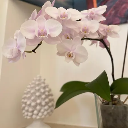 Daire Georgiana Taormina